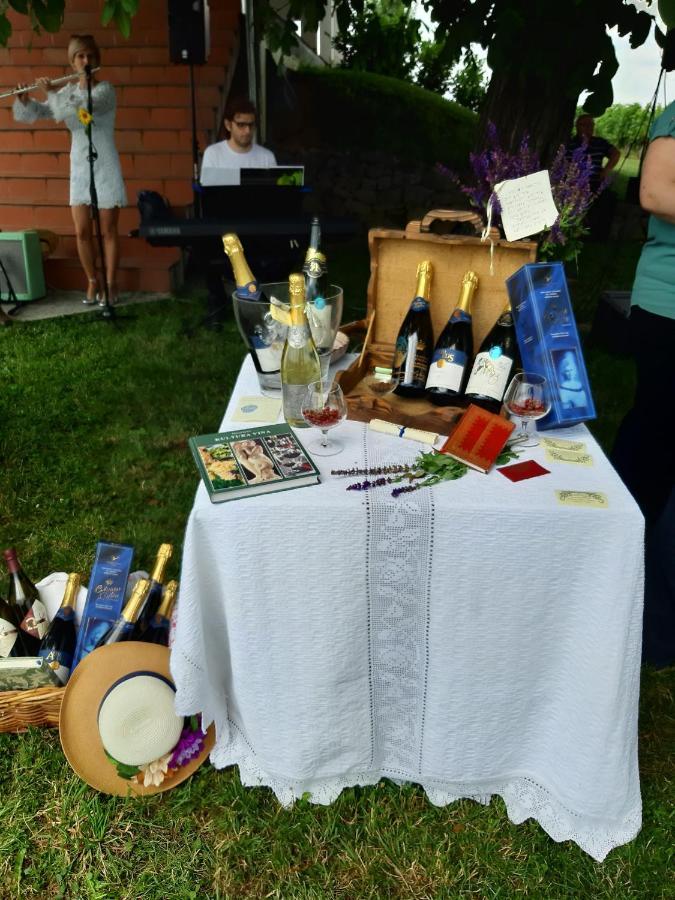 Ribarska Kuca - Ilok ,Tradicijska Kuca-Sobe Lejlighed Eksteriør billede